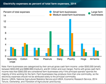 Share of electricity expenses vary by farm size and principal commodity