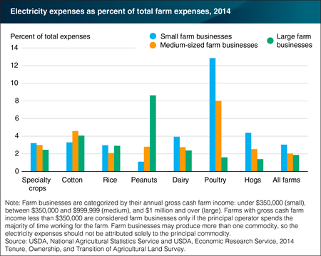 Share of electricity expenses vary by farm size and principal commodity