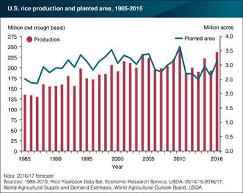 U.S. 2016/17 rice crop projected at a near-record 237.1 million cwt