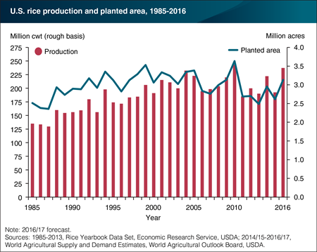 U.S. 2016/17 rice crop projected at a near-record 237.1 million cwt