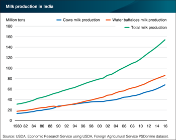 India remains the world’s largest dairy producer
