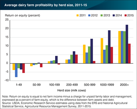 Dairy farming offers profits, but also financial risks