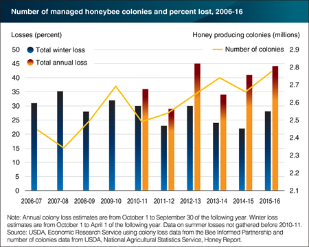 Managed honeybee colony numbers increased since 2006 even as colony mortality remained high