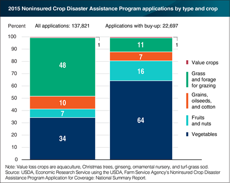 Grass and forage crops lead applications for the Noninsured Crop Disaster Program, but vegetable crops lead for buy-up option