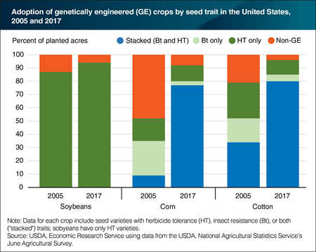 Most GE corn and cotton seeds now have both herbicide tolerance and insect resistance