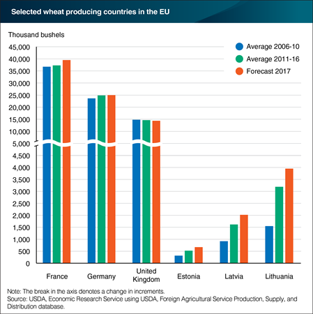 France, Germany, and the United Kingdom lead the EU in wheat production, but new member states are leading in growth