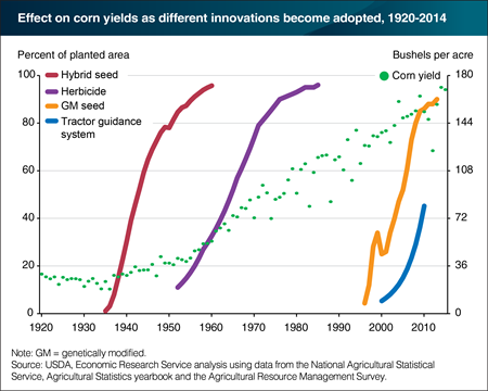 Technological innovations have increased corn yields