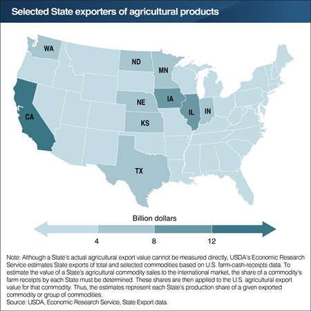 California leads all States in agricultural export value