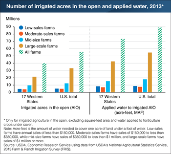 Large-scale farms had the biggest share of irrigated acres and water use in 2013
