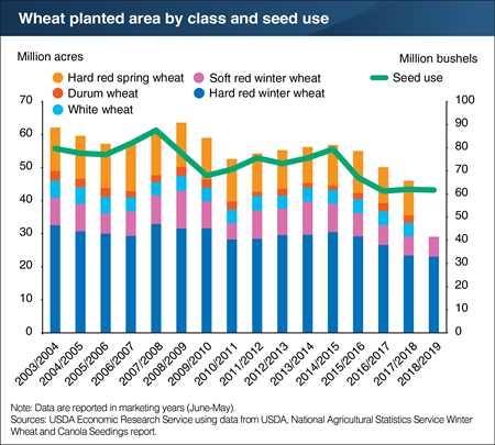 2018 winter wheat seedings are projected to be the lowest in 109 years