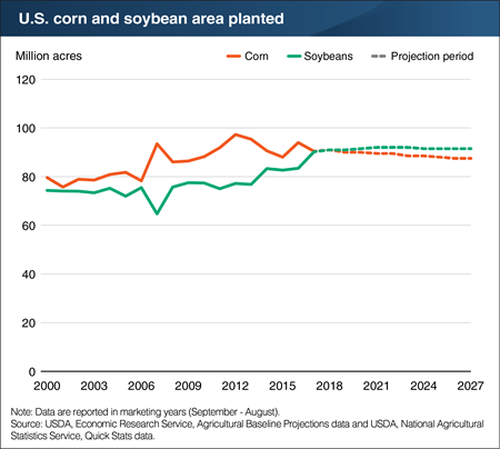 Soybean planted area is projected to surpass corn for the first time in 2019/20