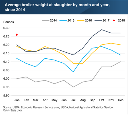 Broiler weights start 2018 by showing continued growth