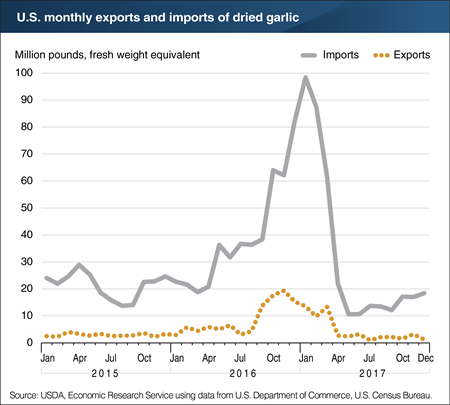 Monthly U.S. dried garlic trade spiked temporarily in 2016/17