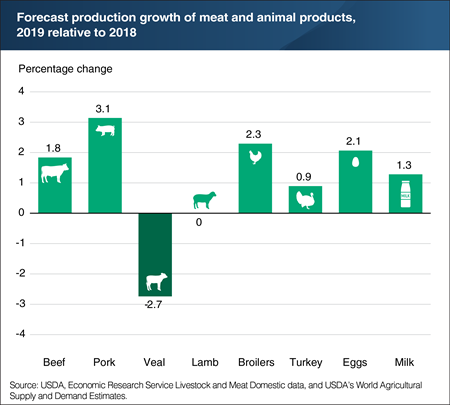 U.S. production of most major meat and animal products is expected to increase in 2019