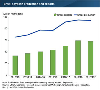 Brazil’s rising soybean exports drive production growth