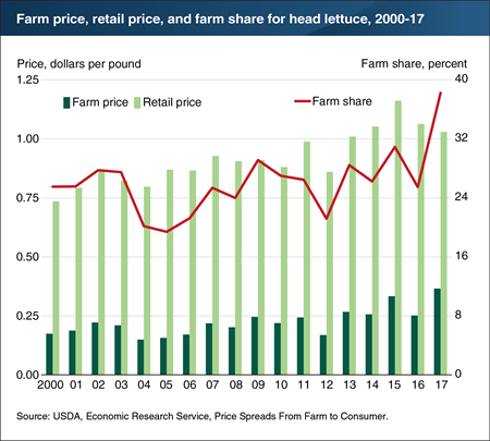 Farm share of retail price of head lettuce rose in 2017