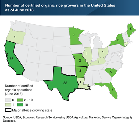 California and Texas are home to 86 percent of all USDA-certified organic rice growers in the United States