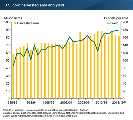 U.S. corn yield projections for 2018/19 suggest record yields on the way
