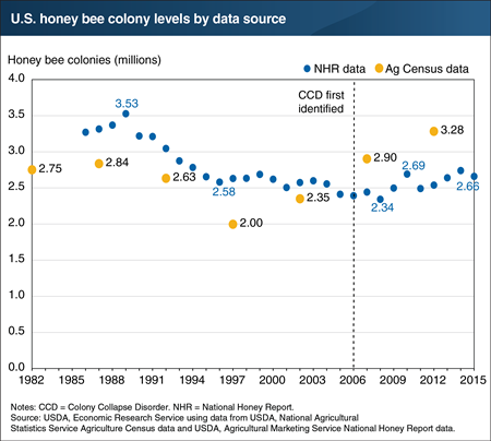 Honey bee colony levels have remained stable despite elevated loss rates