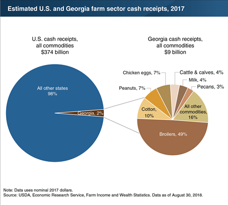 Georgia, recently affected by Hurricane Michael, in 2017 ranked 15th among States in U.S. farm sector cash receipts
