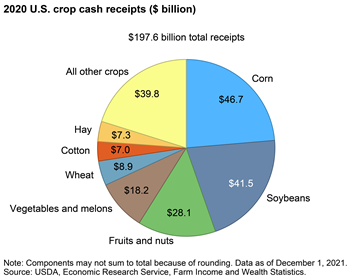 Corn, soybeans accounted for over 40 percent of all U.S. crop cash receipts in 2020