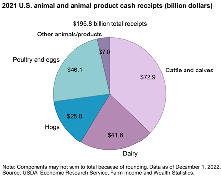 Cattle/calf receipts comprised the largest portion of U.S. animal/animal product receipts in 2021
