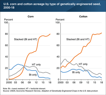 The share of corn and cotton acreage planted with genetically engineered stacked seeds has climbed since 2000