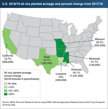 All major rice-producing States increased planted acreage in 2018