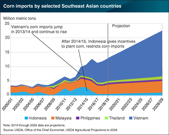 Vietnam and Malaysia drive significant growth in Southeast Asia corn imports