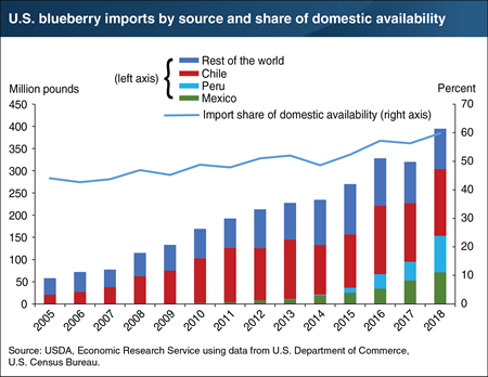 Imports from Latin America make up a growing share of U.S. blueberry consumption