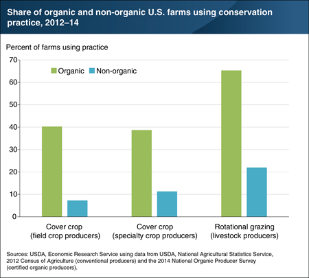 Cover crops and rotational grazing are more widely used by organic producers