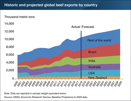 Brazil projected to outpace other top beef-exporting countries over the next decade
