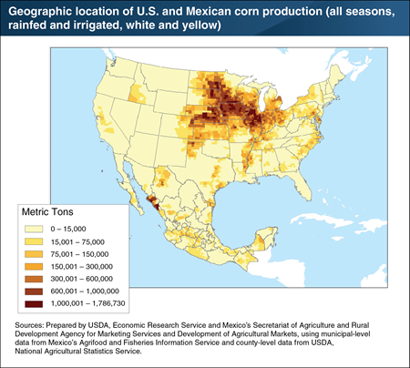 Most corn production in U.S. and Mexico is geographically concentrated