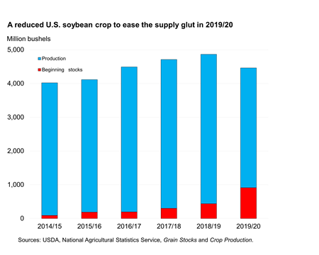 A reduced U.S. soybean crop to ease the supply glut in 2019/20