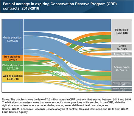 The fate of expiring Conservation Reserve Program acreage varied with its conservation practice
