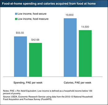 Food-insecure households spend less on food and acquire fewer calories than food-secure households