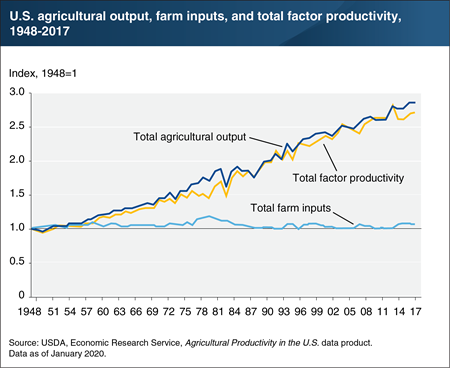 Productivity growth is the major source of growth in U.S. agricultural output