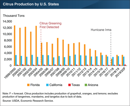 Citrus Greening Disease caused falling production in Florida, but production is forecast to stabilize in 2019/20