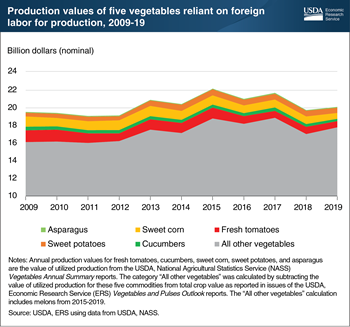 The production of five popular vegetables relies on foreign labor