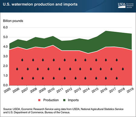 U.S. watermelon imports rise to meet growing demand