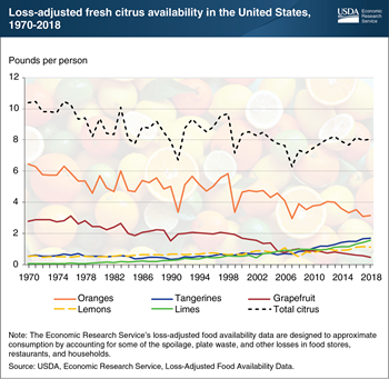Limes, lemons, and tangerines drove the 2007-18 growth in fresh citrus availability in the United States