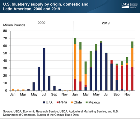 Blueberry imports from Latin America increase to meet year-round demand