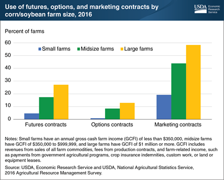Larger corn and soybean farms used more futures, options, and marketing contracts in 2016