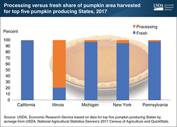 Illinois, home of two processing plants, leads U.S. pumpkin production