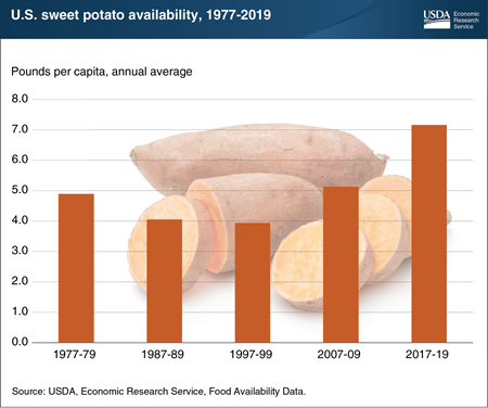 Popularity of sweet potatoes, a Thanksgiving staple, continues to grow