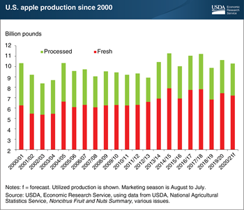 U.S. apple production is forecast to decline 3 percent in 2020
