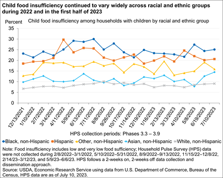 Chart shows food insufficiency among children varied across racial and ethnic groups.
