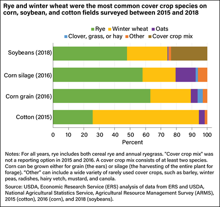 A stacked bar chart shows that rye and wheat were the most common cover crops on corn, soybean, and cotton fields.