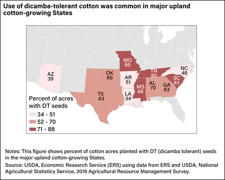 A map shows that the use of dicamba-tolerant cotton was common in major upland cotton-growing States in 2019.