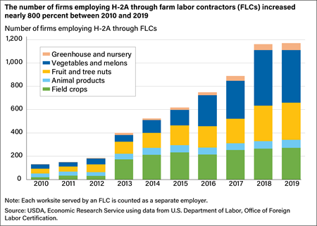 A stacked bar shows that the number of firms employing H-2A through farm labor contractors (FLCs) increased nearly 800 percent between 2010 and 2019.